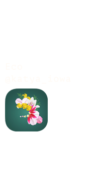 Айова лого